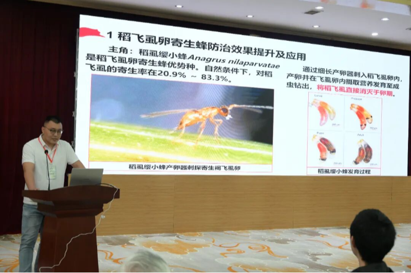 微信图片_20260517112229_38_593.jpg